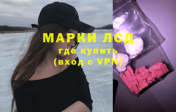 стаф Нефтекумск