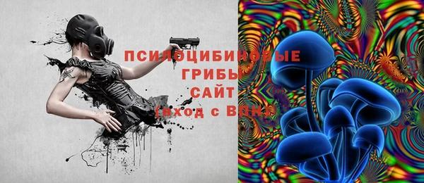 Альфа ПВП Нея