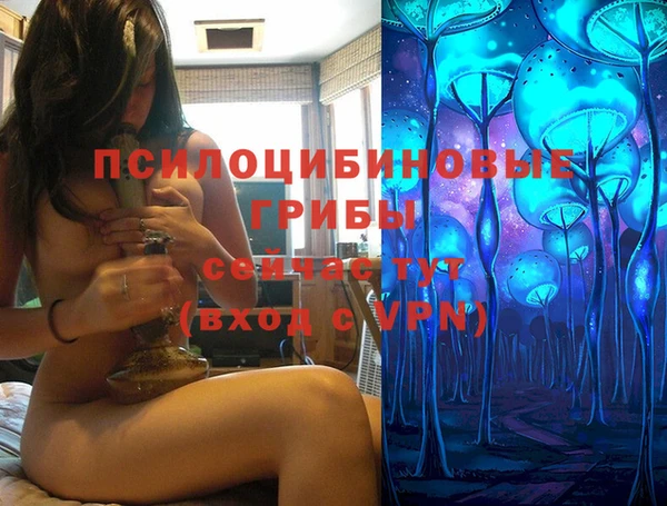 стаф Нефтекумск