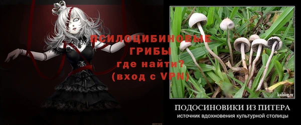стаф Нефтекумск