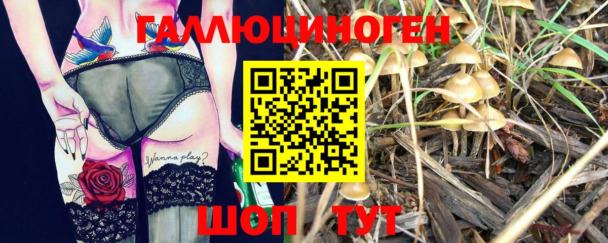 Галлюциногенные грибы MAGIC MUSHROOMS  Майкоп 