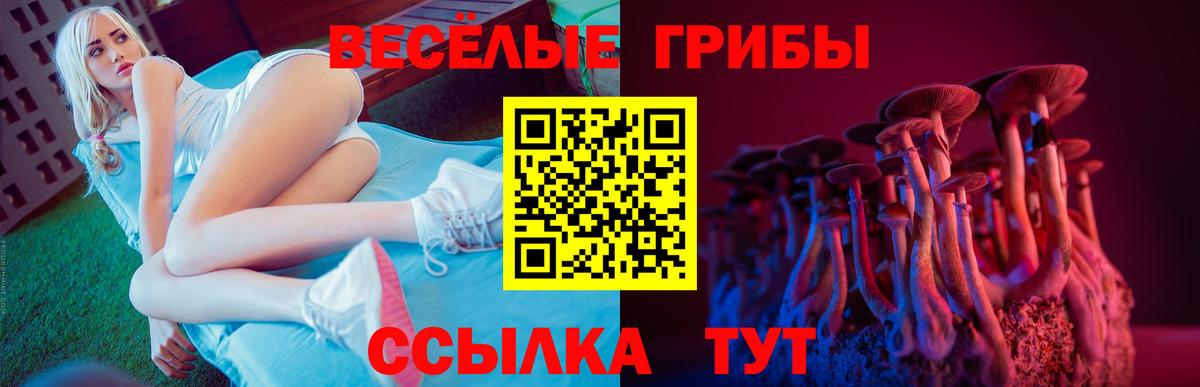Галлюциногенные грибы ЛСД  Вход с VPN  Майкоп  Галлюциногенные грибы MAGIC MUSHROOMS 